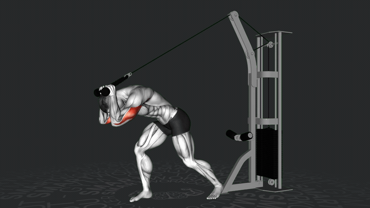 Hochzug Überkopf Trizepsstreckung