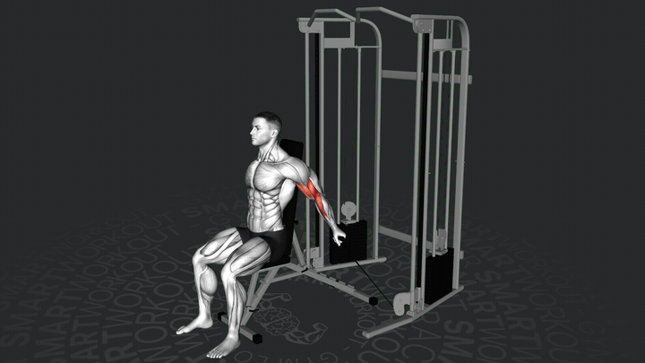 Сгибание рук на блоке сидя