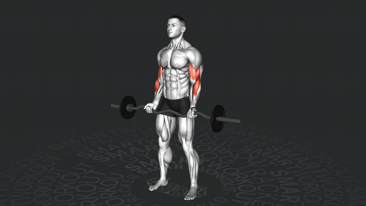 Сгибание рук с EZ-штангой