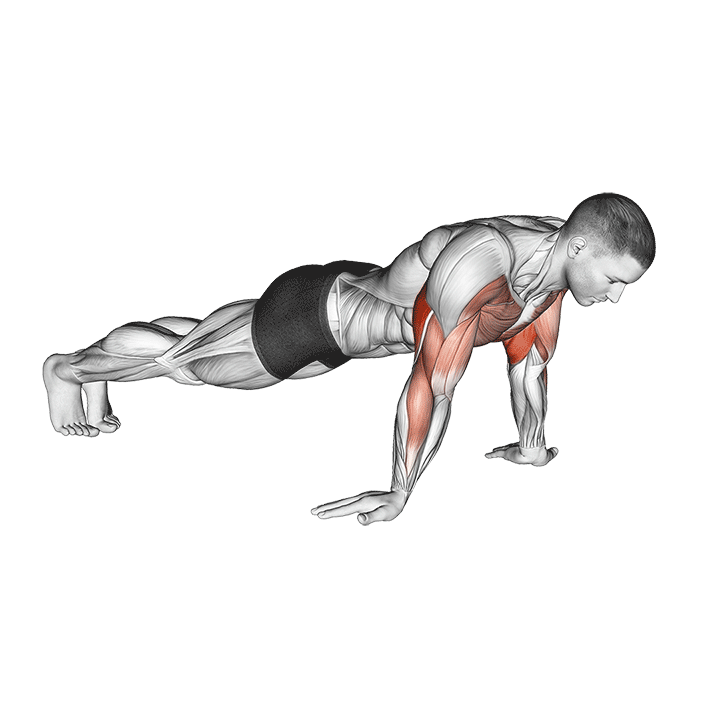 Reverse Hand Push-Up