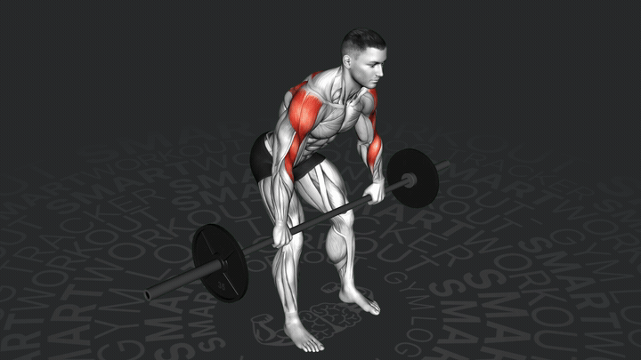 Тяга штанги к задним дельтам