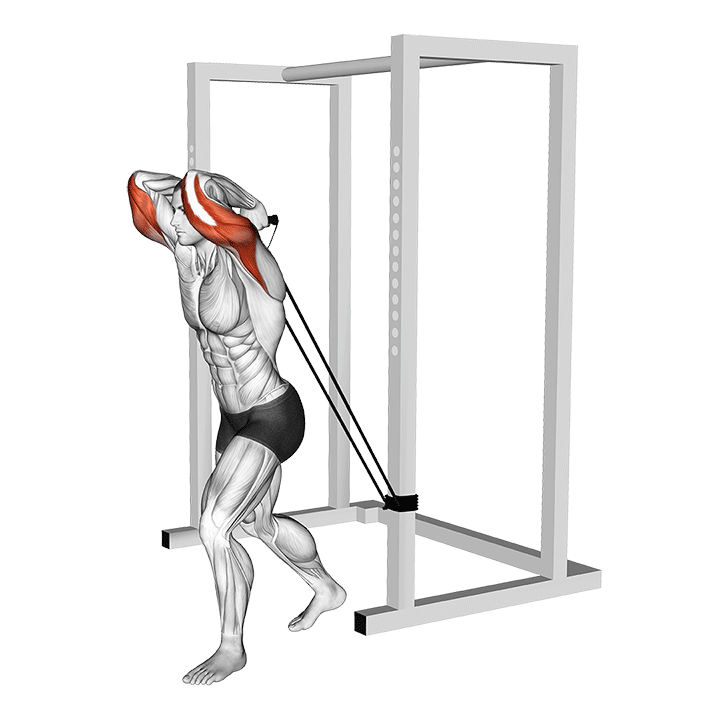 Overhead Band Triceps Extension