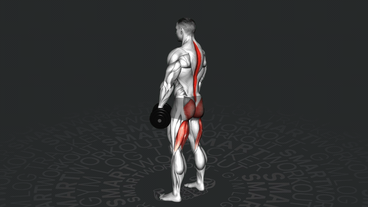 Stacco Rumeno con Manubri