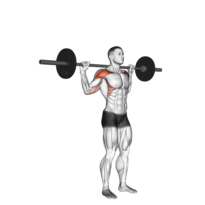 Barbell Behind Neck Shoulder Press