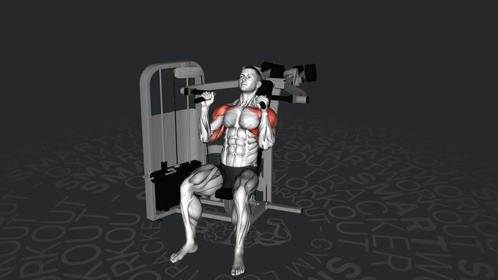 Lever Seated Hammer Grip Shoulder Press