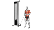 Low Cable Horizontal Pallof Press
