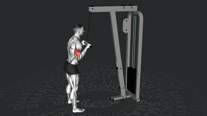 Kabelzug Trizepsdrücken