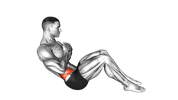 Rotation Assise