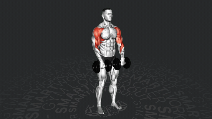 Dumbbell Upright Row