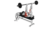 Barbell Triceps Pullover