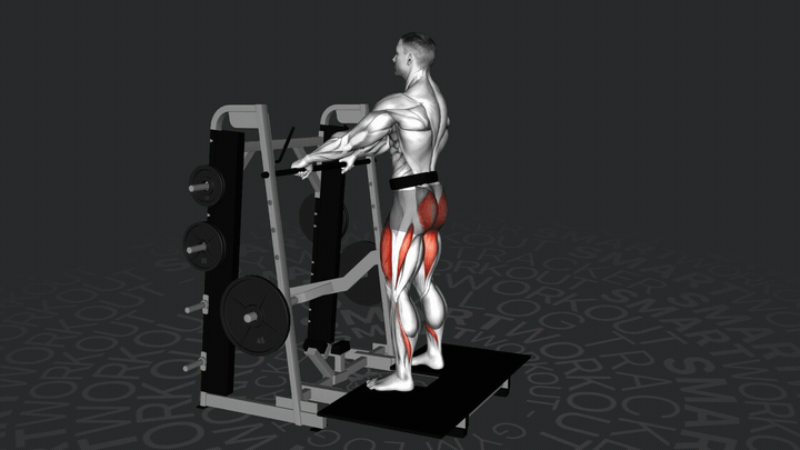 Squat alla macchina con cintura