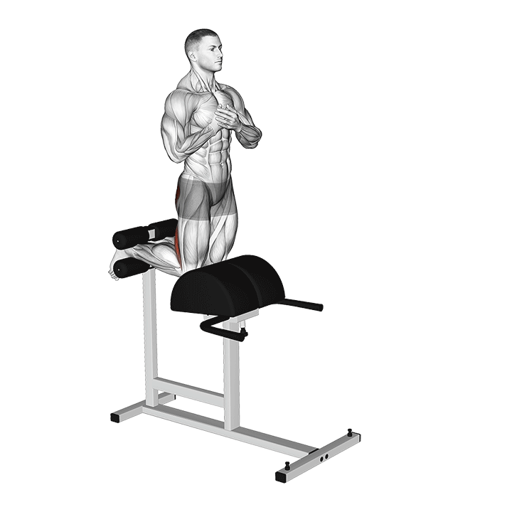 Glute-Ham Raise 1/2