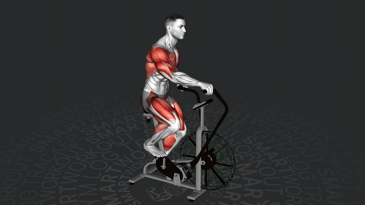 Bicicletta ad Aria Assault