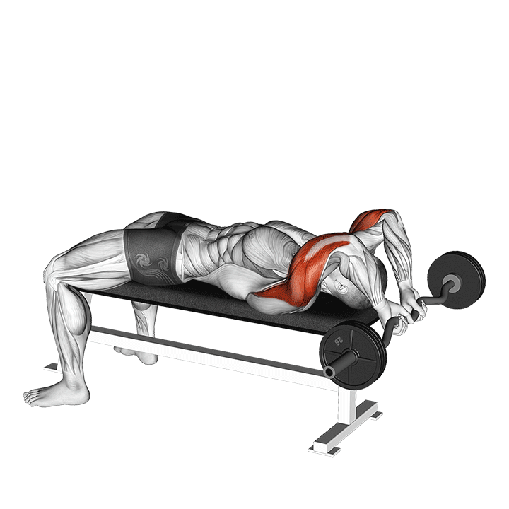 Lying EZ-Bar Triceps Extension