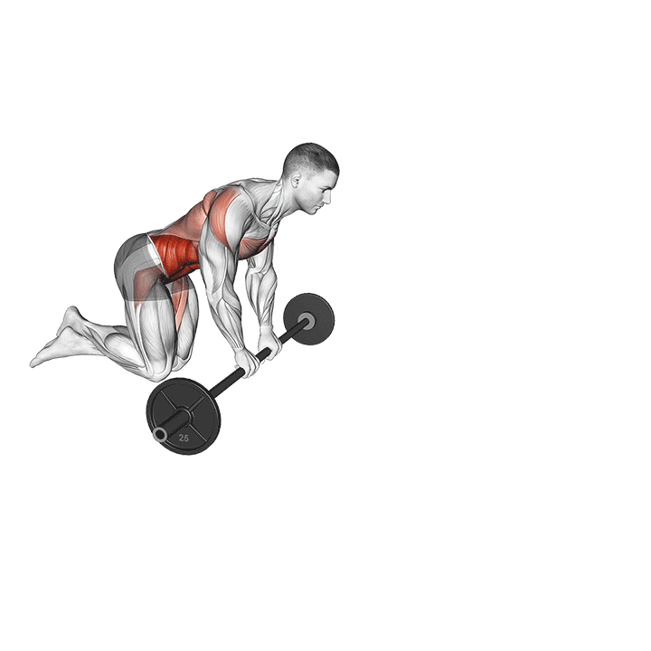 Barbell Rollout - Kneeling