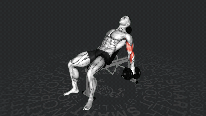 Молотковые сгибания рук с гантелями на наклонной скамье