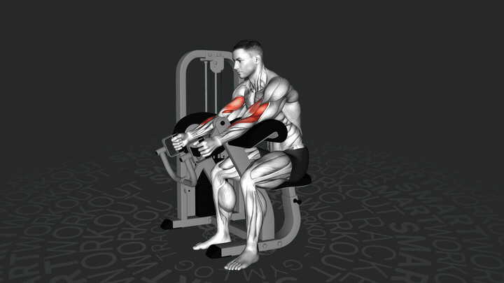 Молотковое сгибание на скамье Скотта