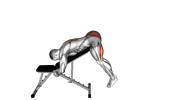 Bench Reverse Hyperextension