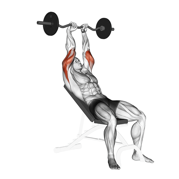 Incline Barbell Triceps Extension