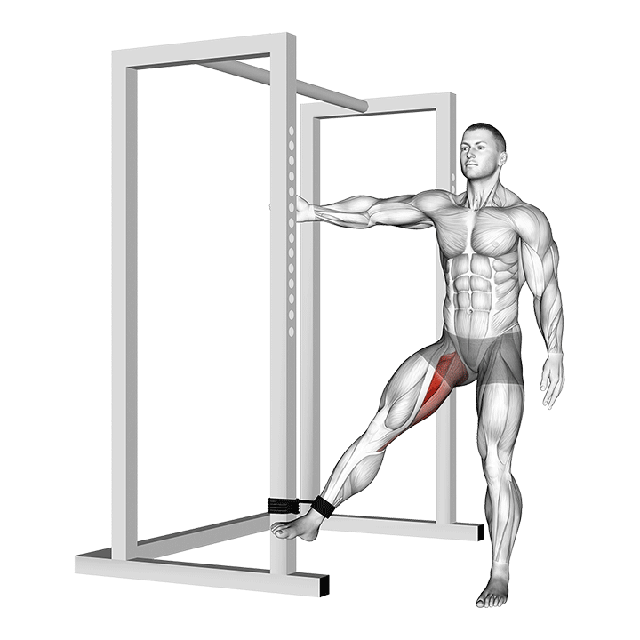 Resistance Band Hip Adduction