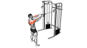 Cable Face Pull