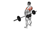Barbell Shoulder Grip Upright Row