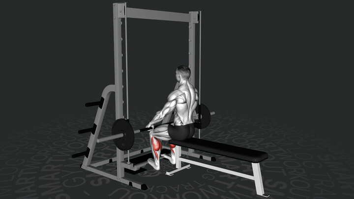 Sollevamento del Polpaccio Seduto alla Smith Machine