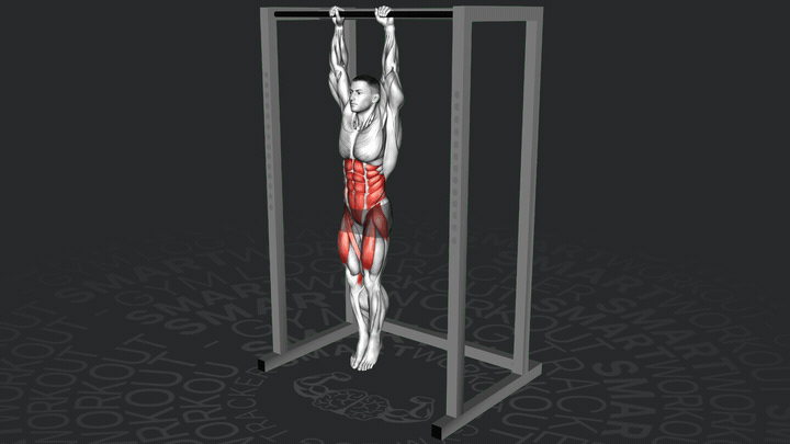 Подтягивание коленей к локтям в висе