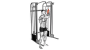 Extension triceps au-dessus de la tête à un bras