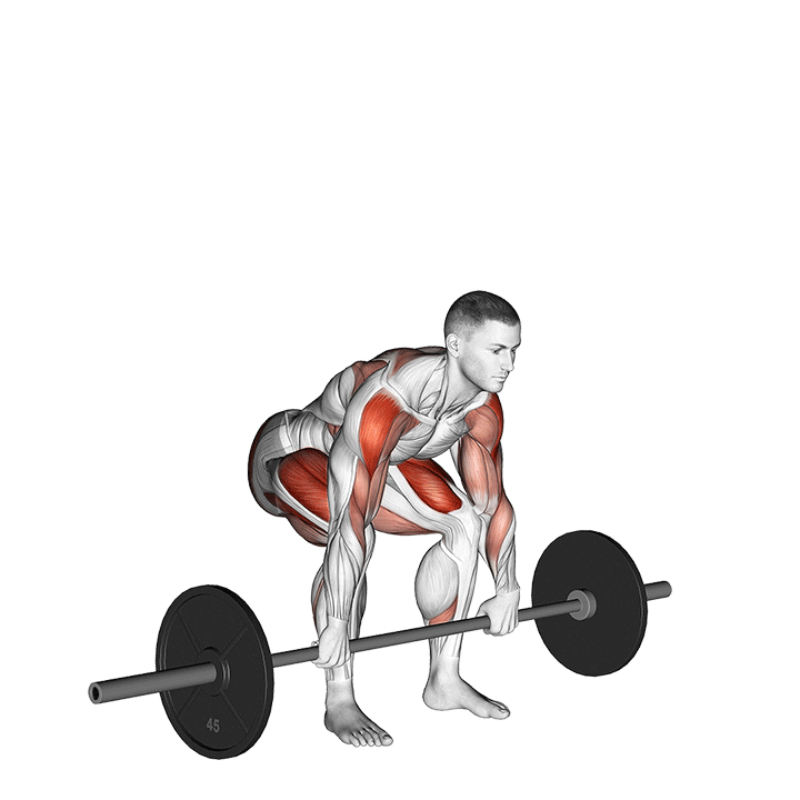 Snatch Pull