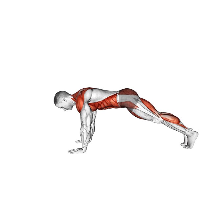 Bird Dog Plank