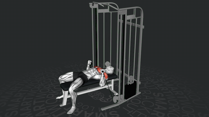 Press Plano con Poleas