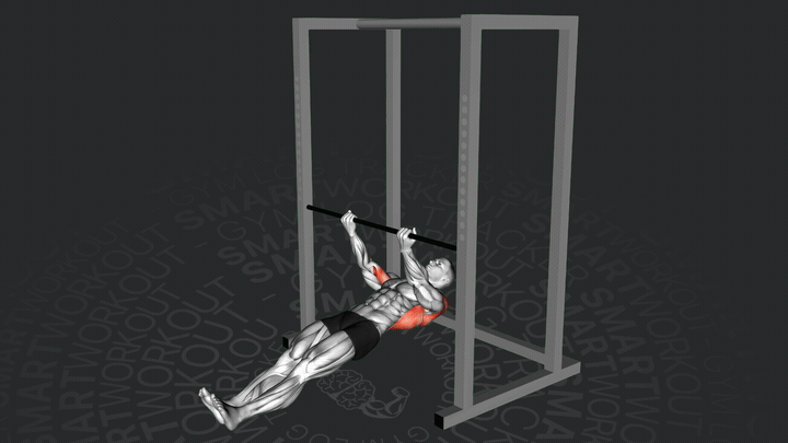 Австралийская подтягивание обратным хватом