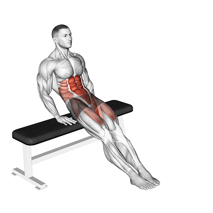 Seated Reverse Circle Crunches
