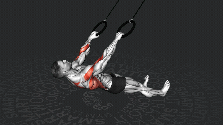 Австралийские подтягивания с узким хватом на кольцах