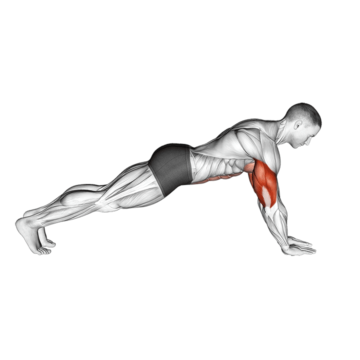 Triceps Push-Up