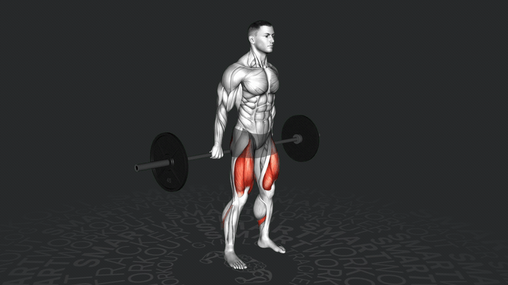 Squat Hack con Bilanciere