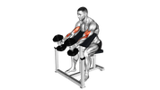 Curl Prédicateur Supination avec Haltères