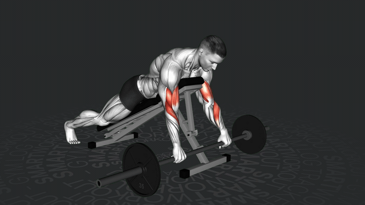 EZ-Stange Umgekehrter Spider Curl