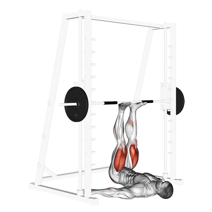 Vertical Leg Press Smith Machine