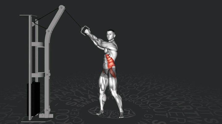 Повороты с канатом на блоке (вверх-вниз)