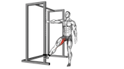 Resistance Band Hip Adduction