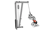 Kneeling Cable Abs Crunches