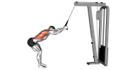 Rope Straight-Arm Lat Pulldown