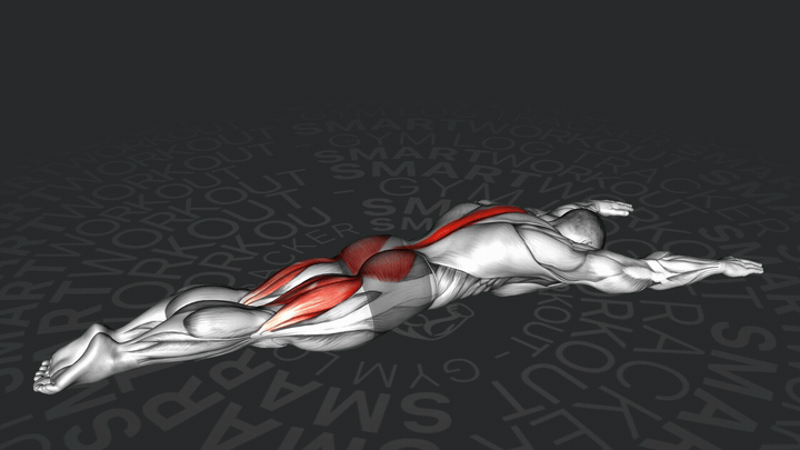 Estensione della colonna vertebrale in posizione prona