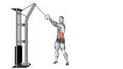 Cable Twist (up down)
