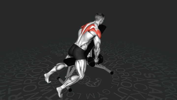 Chest Supported Lateral T Raise