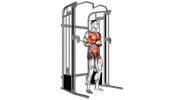 Cable Horizontal Pallof Press