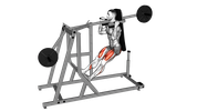 Squat pendulaire
