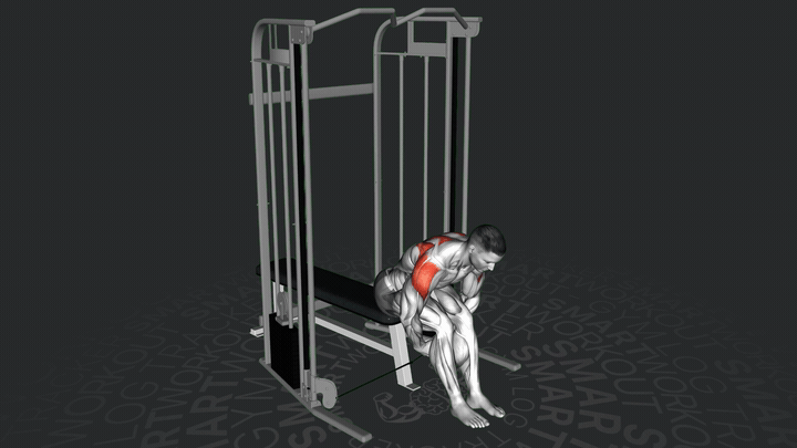 Cable Seated Rear Lateral Raise